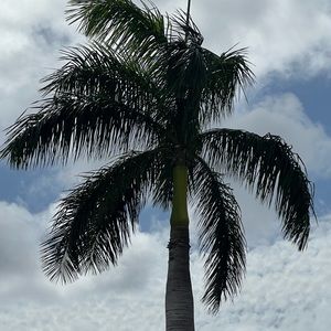 Meet your Posher, Jerome vincent